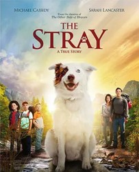 【The Stray】[BT种子下载][英语][剧情/冒险][美国][莎拉·兰卡斯特/迈克尔·卡西迪/斯科特·克里斯托弗][720P]